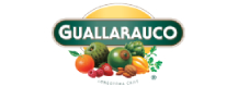 Logo Guallarauco